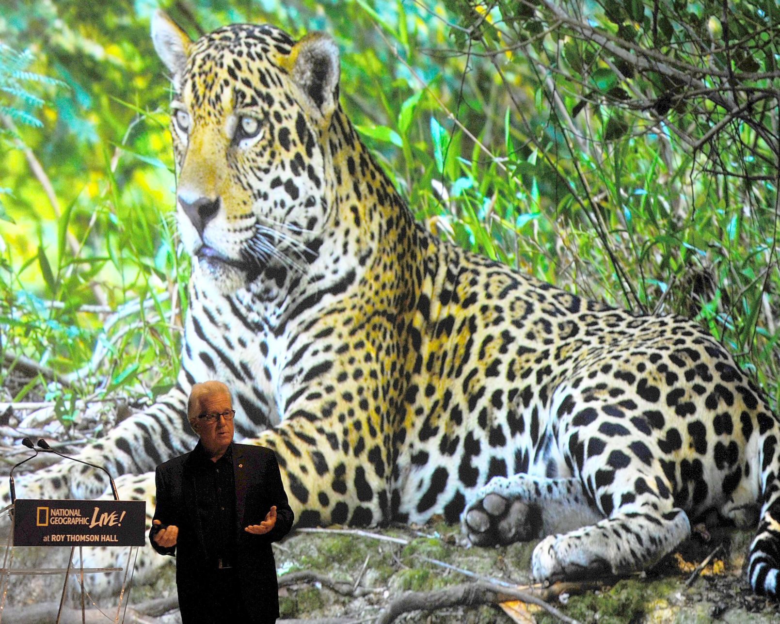 'On the Trail of Big Cats' with Steve Winter